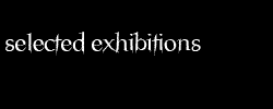 selected exhibitions